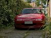 A tale of two red slugs-161210_front.jpg