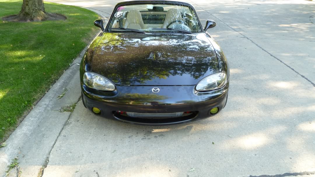 Name:  P1000333_1080x608.jpg
Views: 777
Size:  151.1 KB