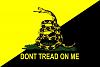 The "If Things Went Your Way" Game-goldblack-gadsden.jpg