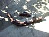 1.8 Begi Manifold and Downpipe + TSE Studs-2011-07-18-17_17_04.jpg
