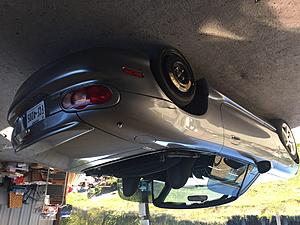 (TX) 03 Shinsen Edition - low miles-55fa63ab-632d-4076-a1a3-90288568b7a5.jpeg