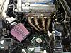 A little NB Action-img_0930.jpg