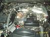 hey new guy-picture044.jpg