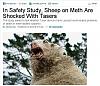 Random Picture &amp; Video Thread *Keep it SFW!*-sheepq.jpg