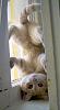 Random Picture &amp; Video Thread *Keep it SFW!*-tumblr_lvaqmguumz1qbvbl6o1_500.jpg