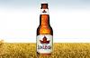 not-Official Shiner Bock Beer Thread-molson-canadian-beer-2.jpg