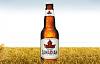 not-Official Shiner Bock Beer Thread-molson-canadian-beer-2.jpg