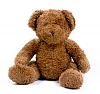 Tim Allen and CR-teddy-bear.jpg