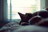 Photography.-dsc_1377_edits.jpg