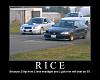 The reason i dislike Rice (with Pics)-rice.jpg