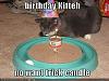 Happy Birthday Mr. February!-birthdaykitteh128618253996440313.jpg
