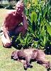Banhammer-dead_baboon.jpg