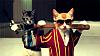 Random Picture &amp; Video Thread *Keep it SFW!*-funny-cat.jpg