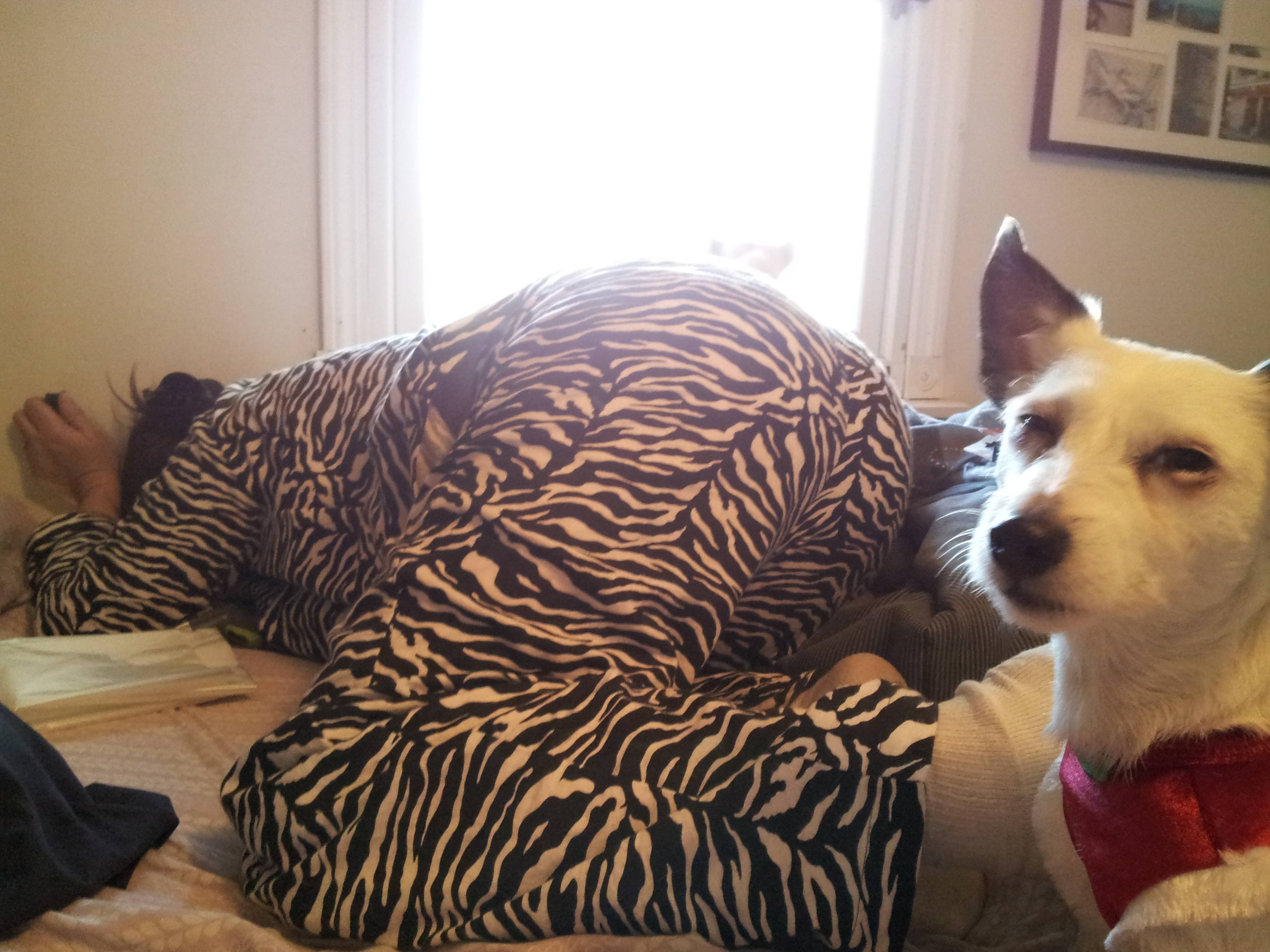 Name:  2FJ1X.jpg
Views: 14
Size:  567.7 KB