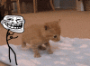 Random Picture &amp; Video Thread *Keep it SFW!*-tumblr_lp7rb9gmu61qehv22o1_400.gif