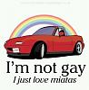 im not gay-imnotgay.jpg